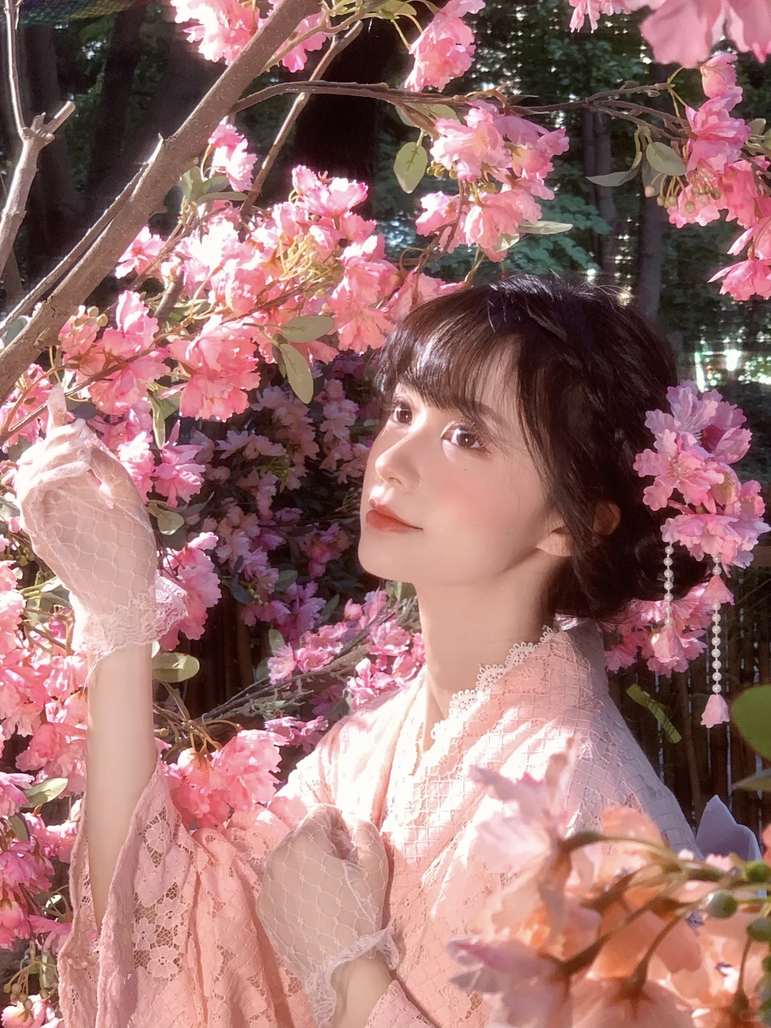 不用去大理！成都也能拍樱花🌸写真