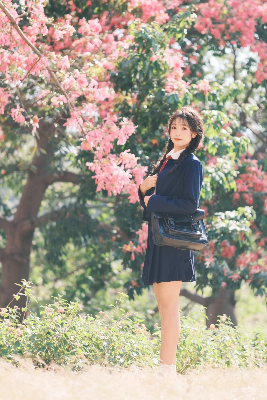 深圳观澜异木棉花海🌸jk制服少女写真