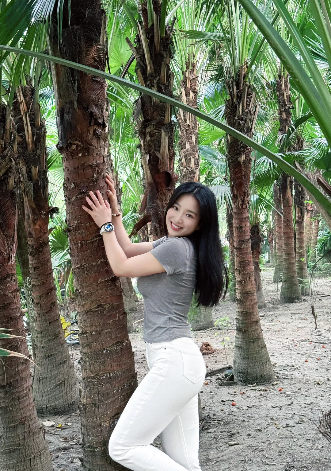 路过一片水杉林