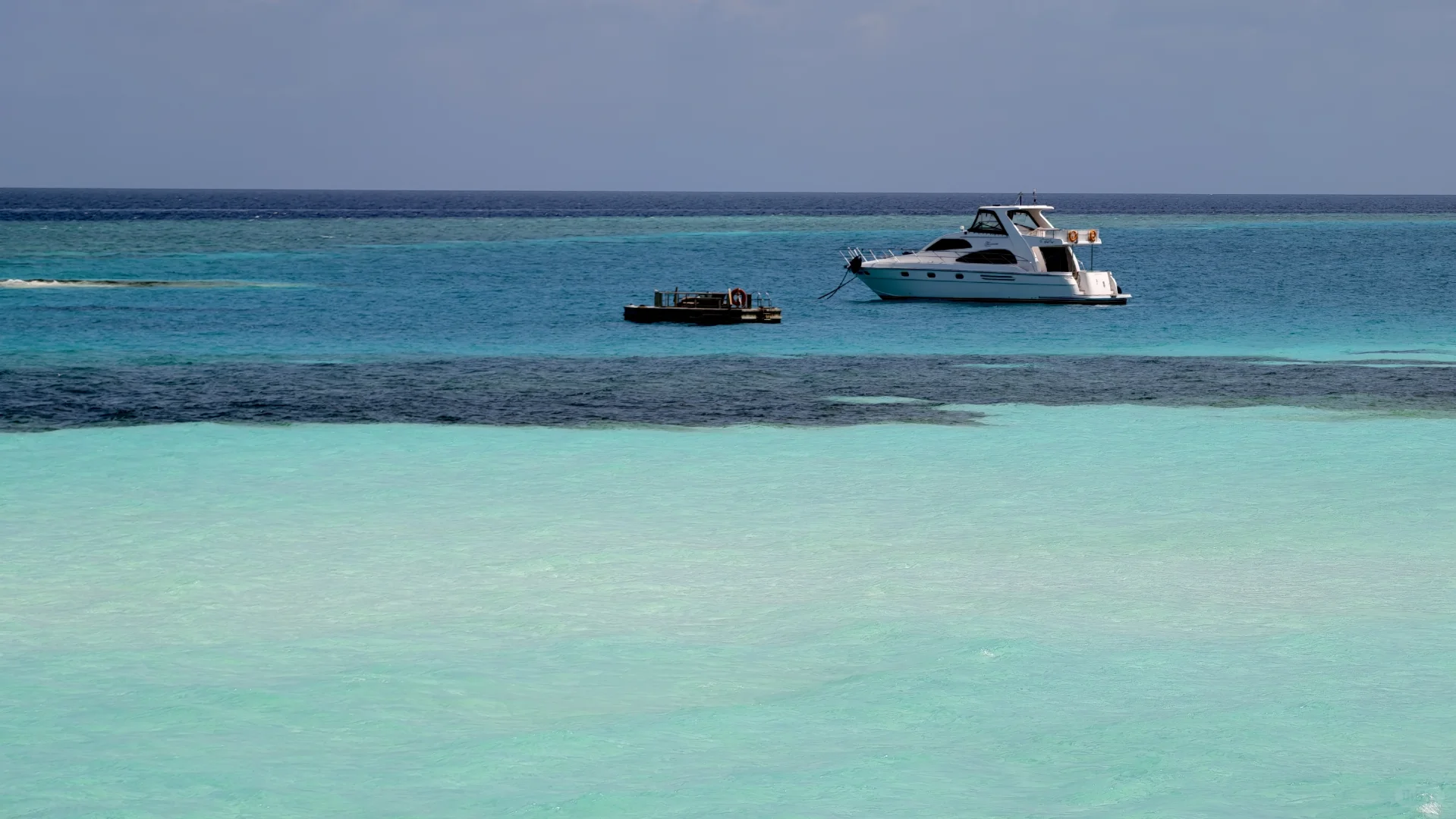 平胸｜在海岛就不会穿衣羞耻🏝️🏖️