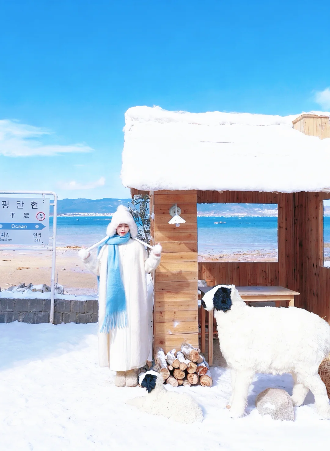 别去北海道了！福州海边咖啡厅实现玩雪自由