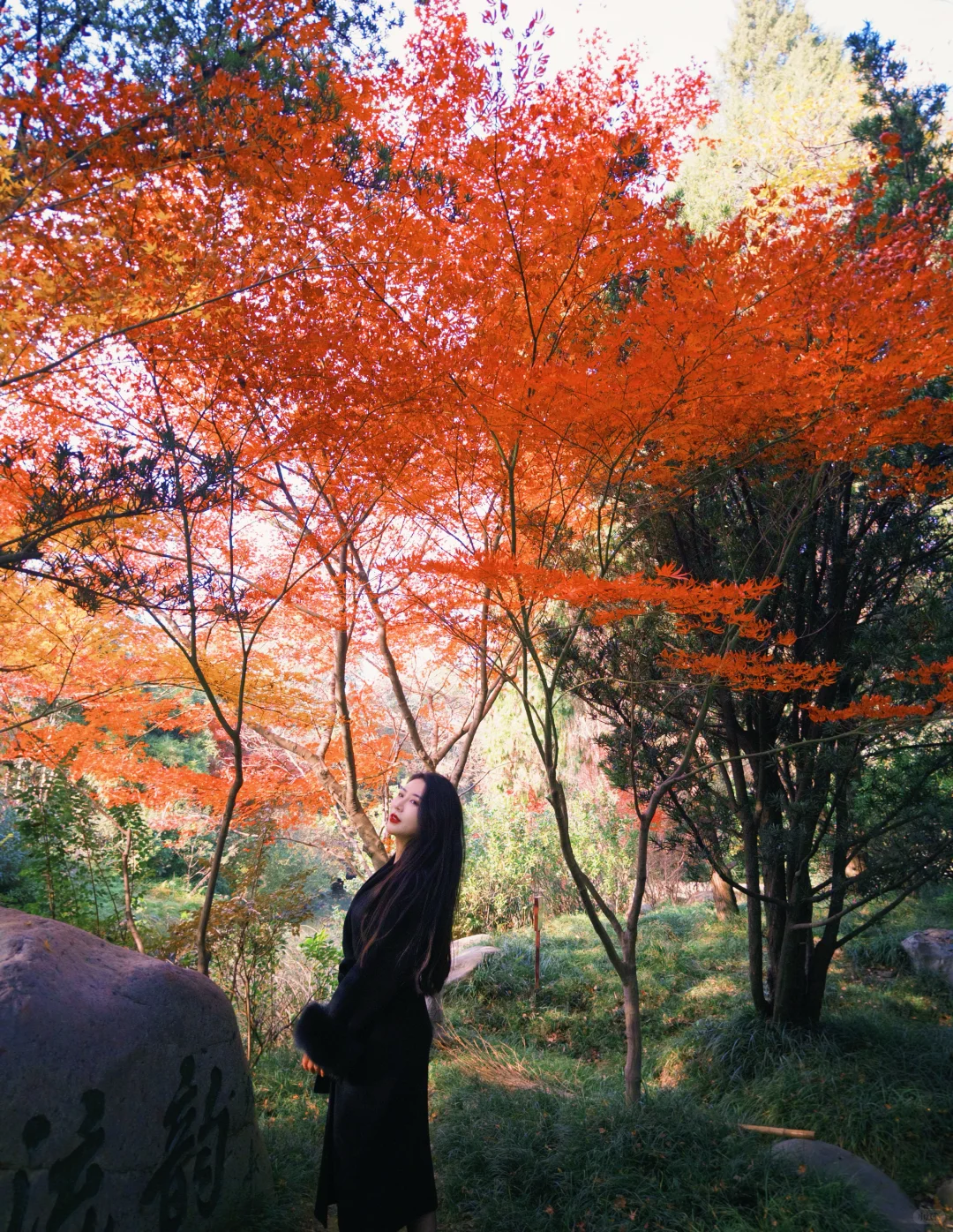 姐感是一种什么感觉