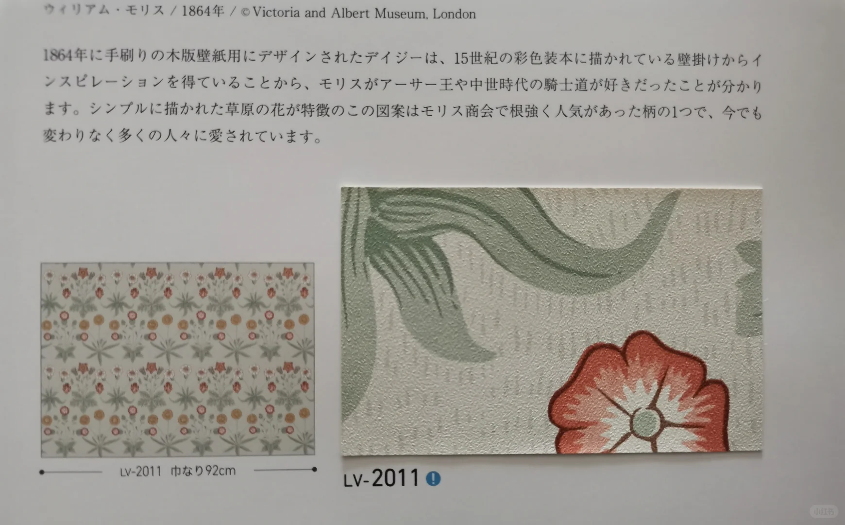 清新淡雅的花花壁纸