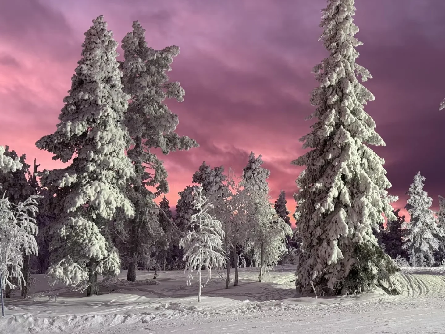 iPad/电脑壁纸❄冬日氛围感