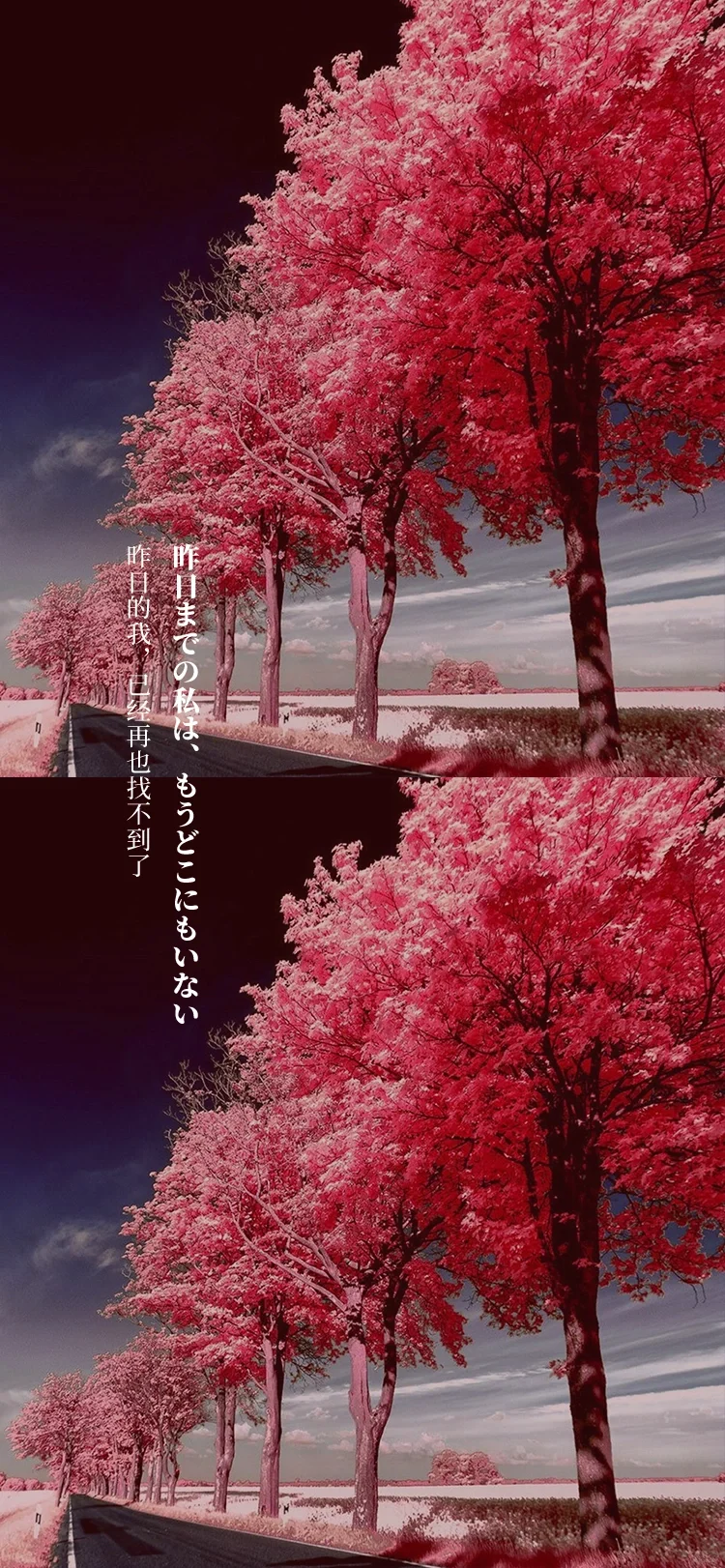 日语壁纸美文17