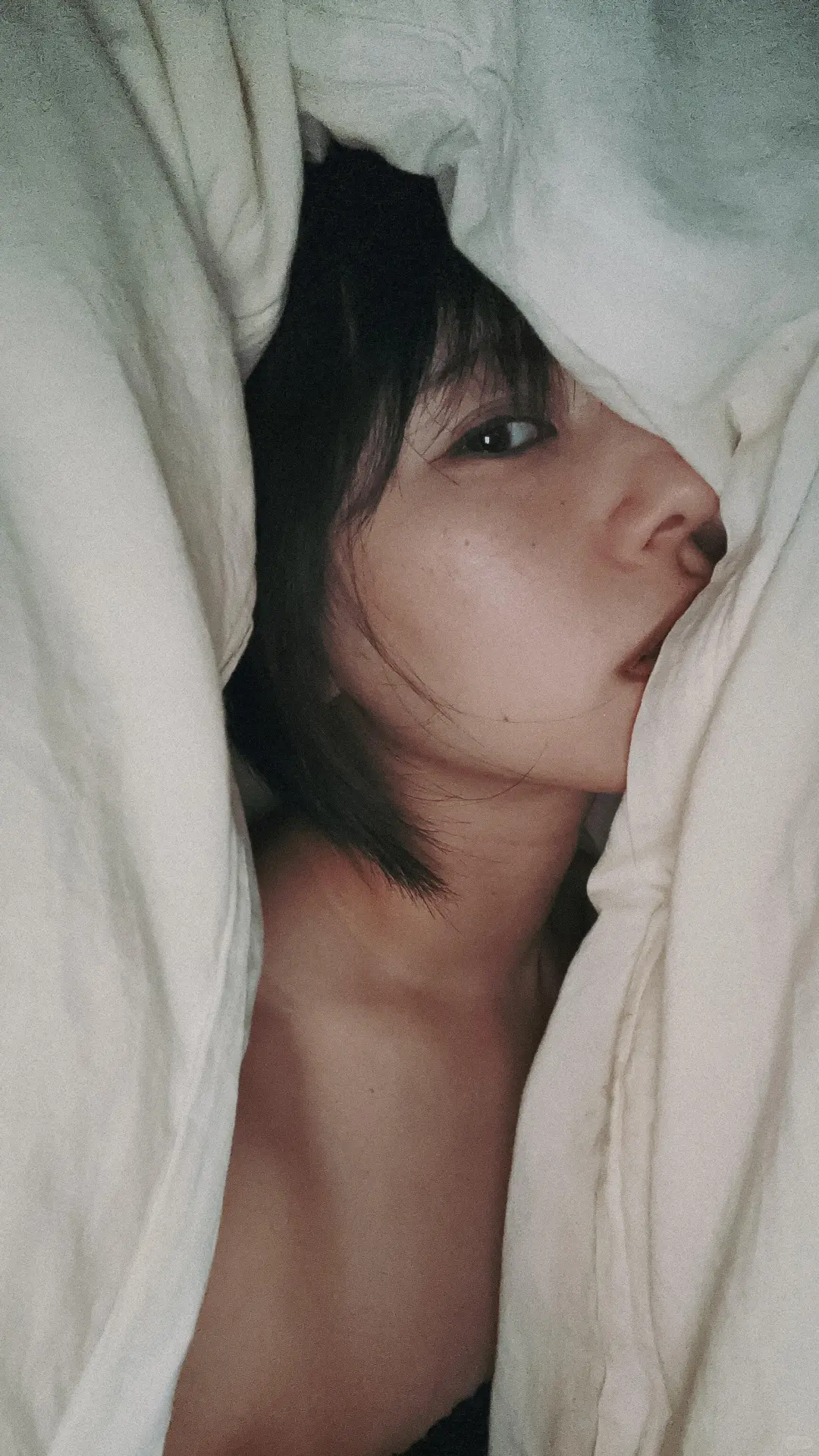 壁纸分享第四十弹