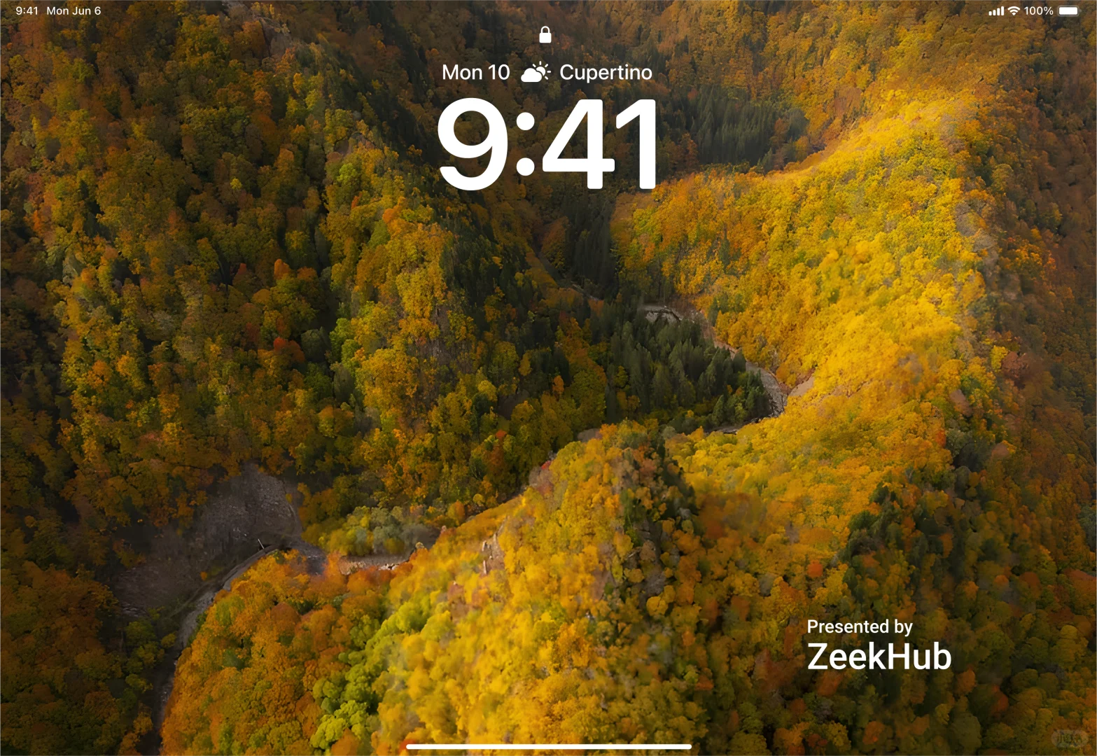 550丨秋意泛金丨iPad锁屏壁纸丨超清壁纸