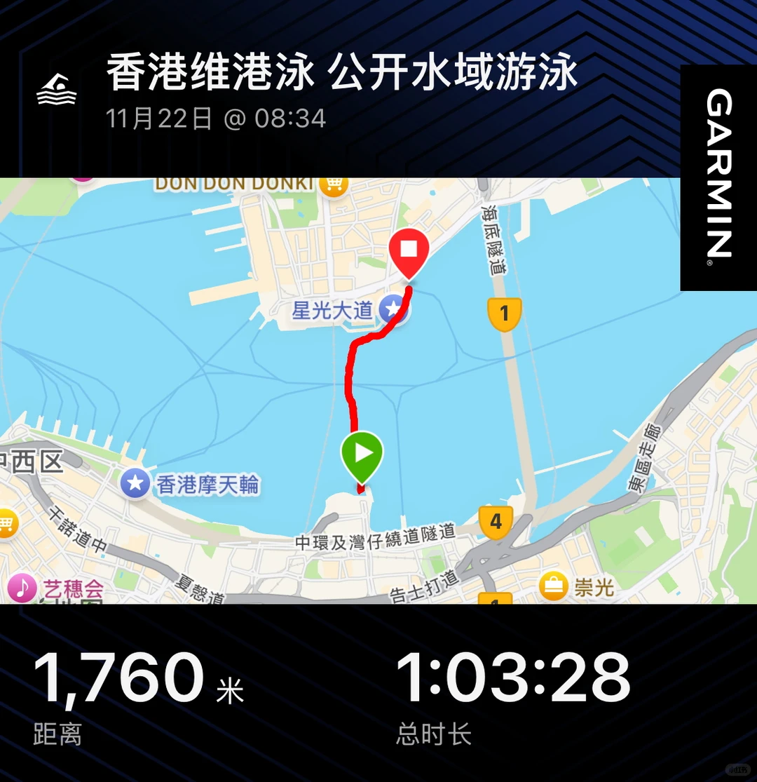 2025 维港泳 游了1700米……