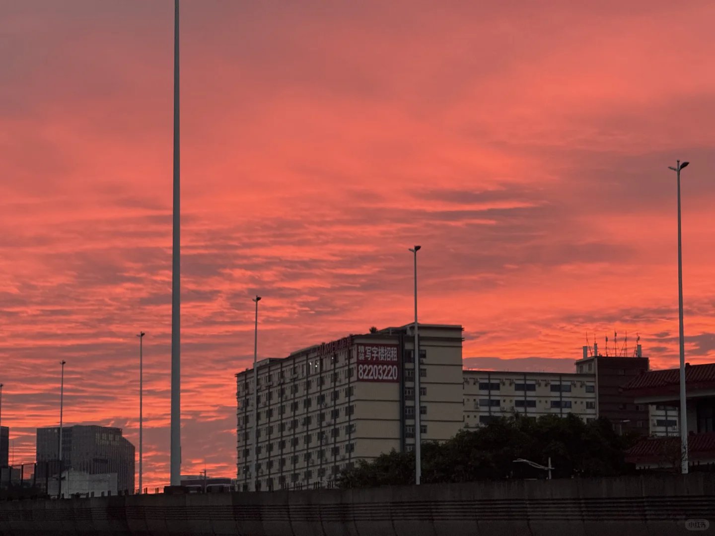 今天跑得有点快（603）
