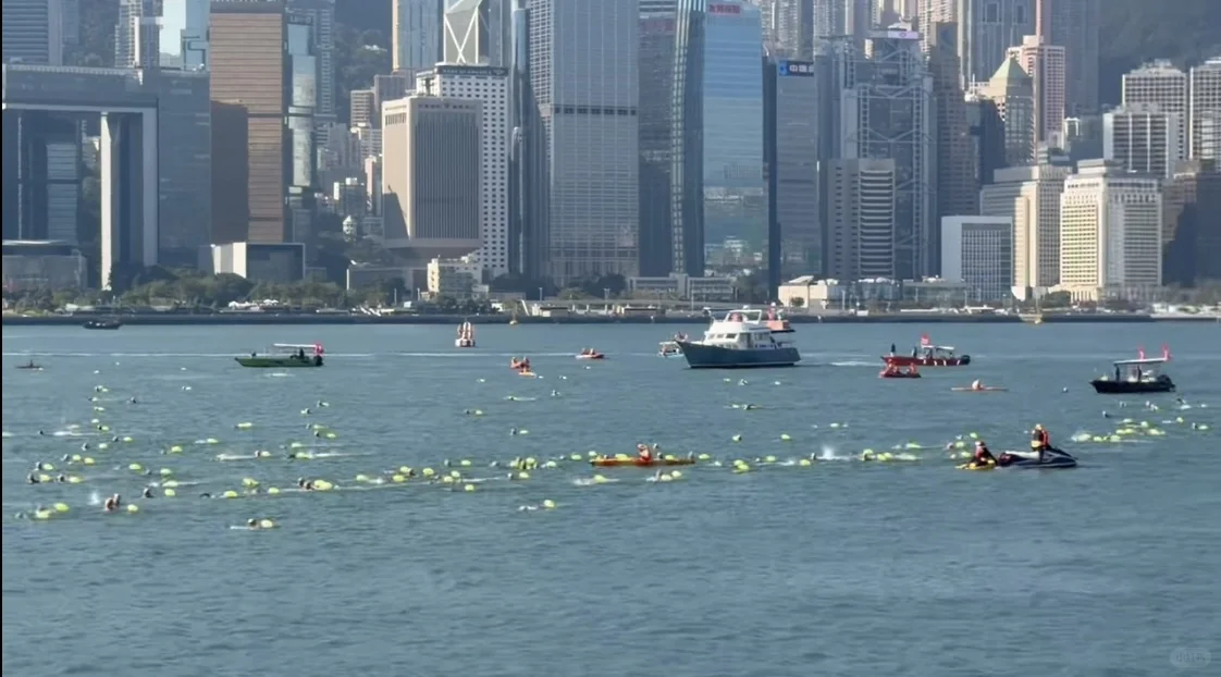 2025 维港泳 游了1700米……
