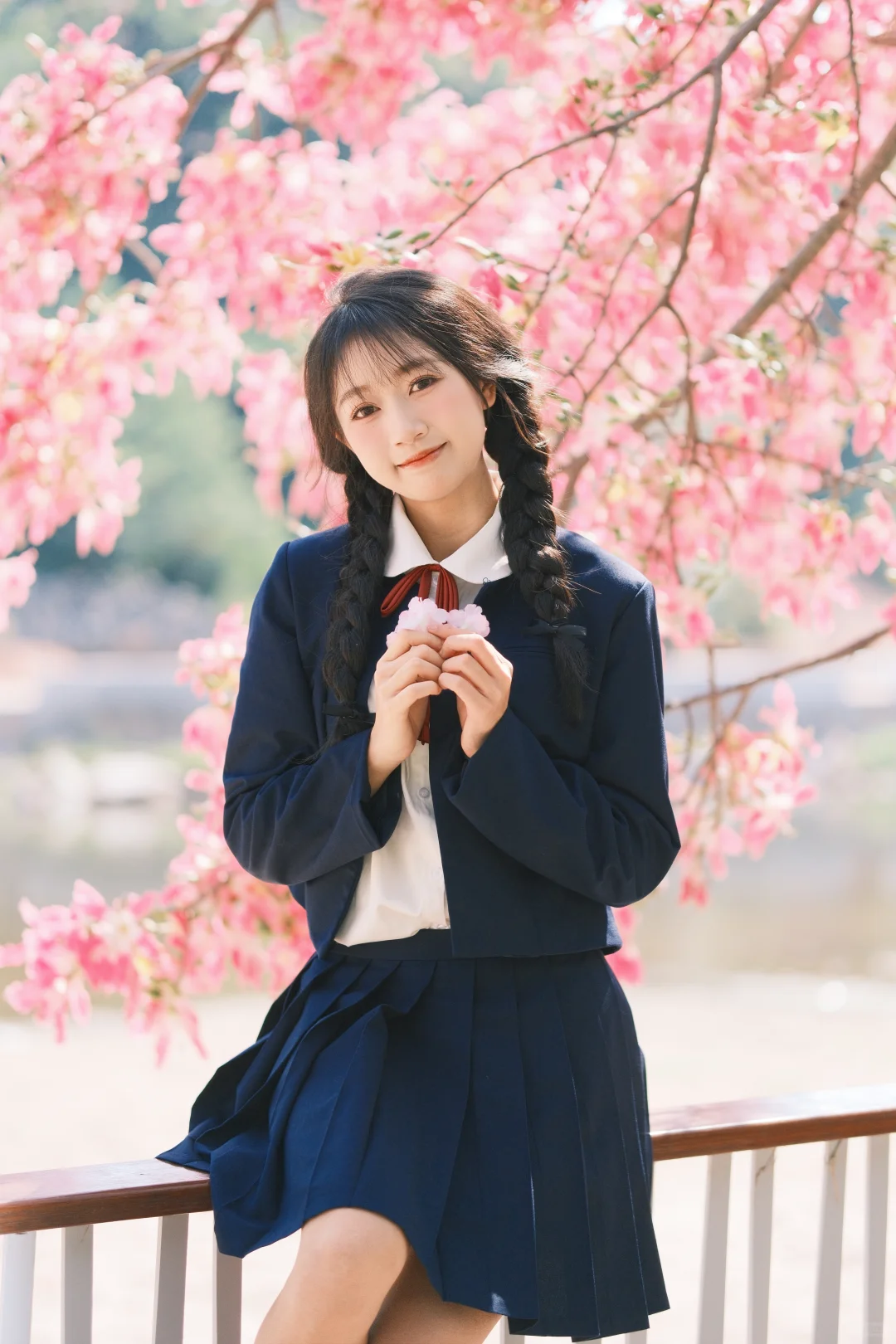 深圳观澜异木棉花海🌸jk制服少女写真