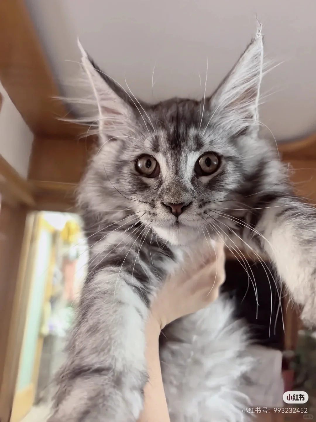 高颜值 从不惧怕怼脸拍🤩🐢