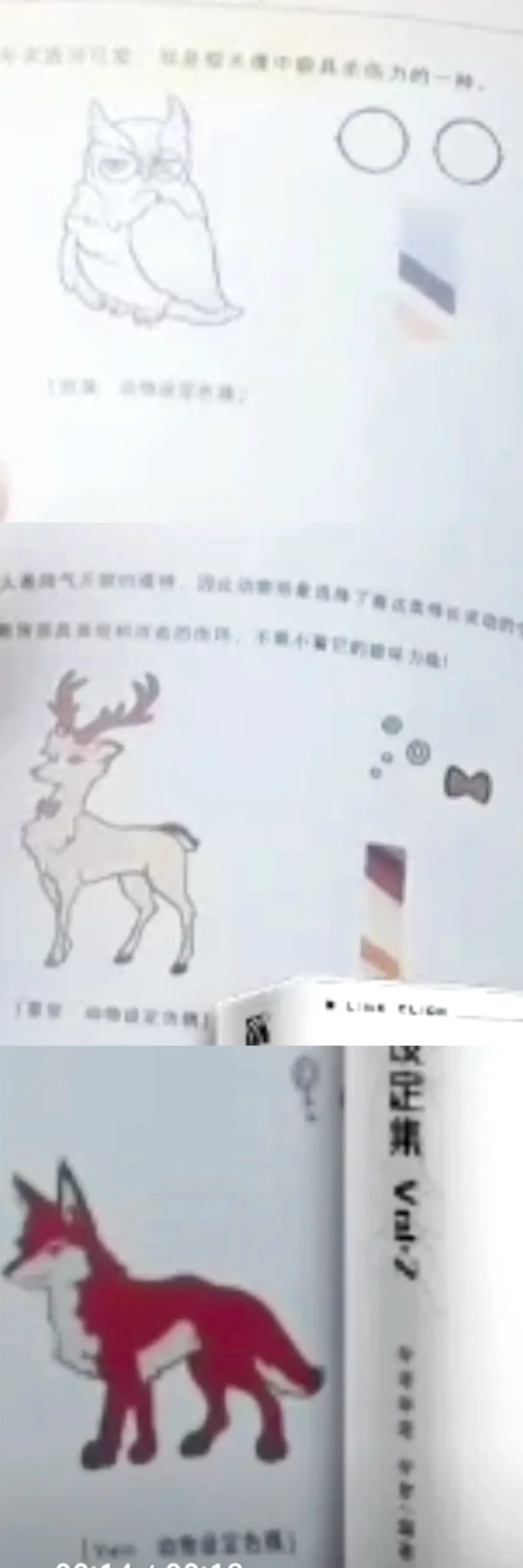 設定集中的反三動物擬（圖轉群）