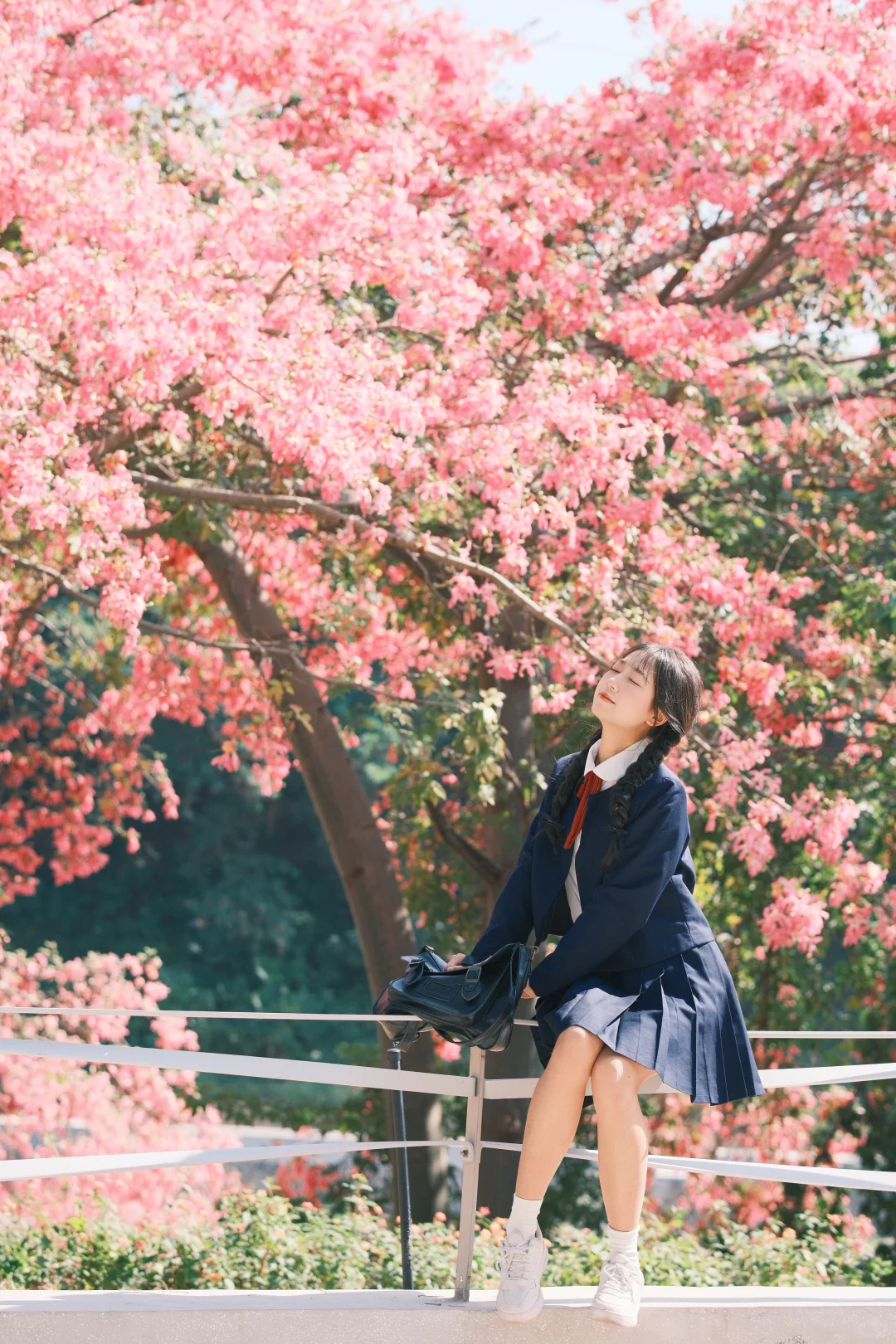 深圳观澜异木棉花海🌸jk制服少女写真