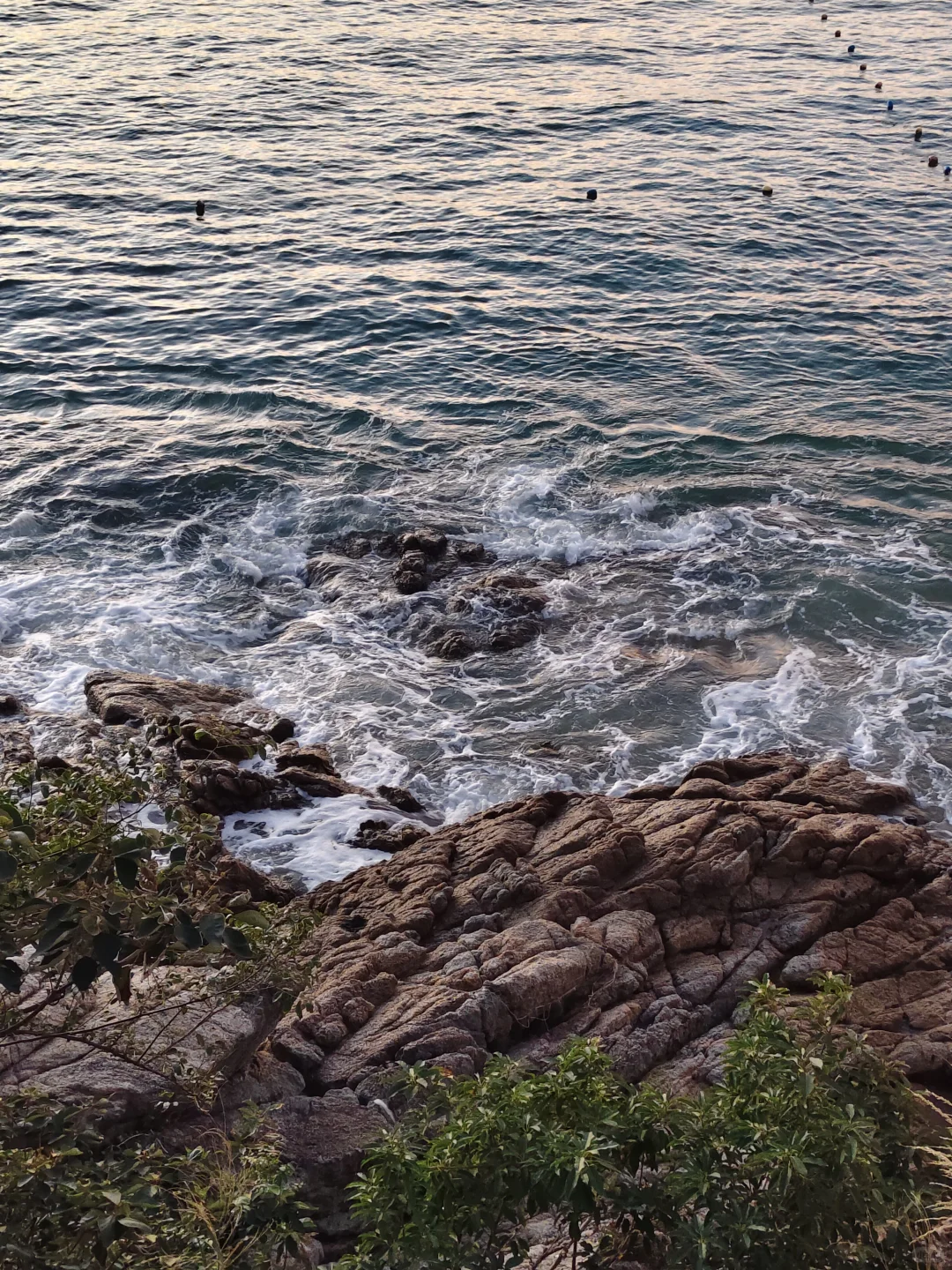 广东的冬天真的很适合去海边！