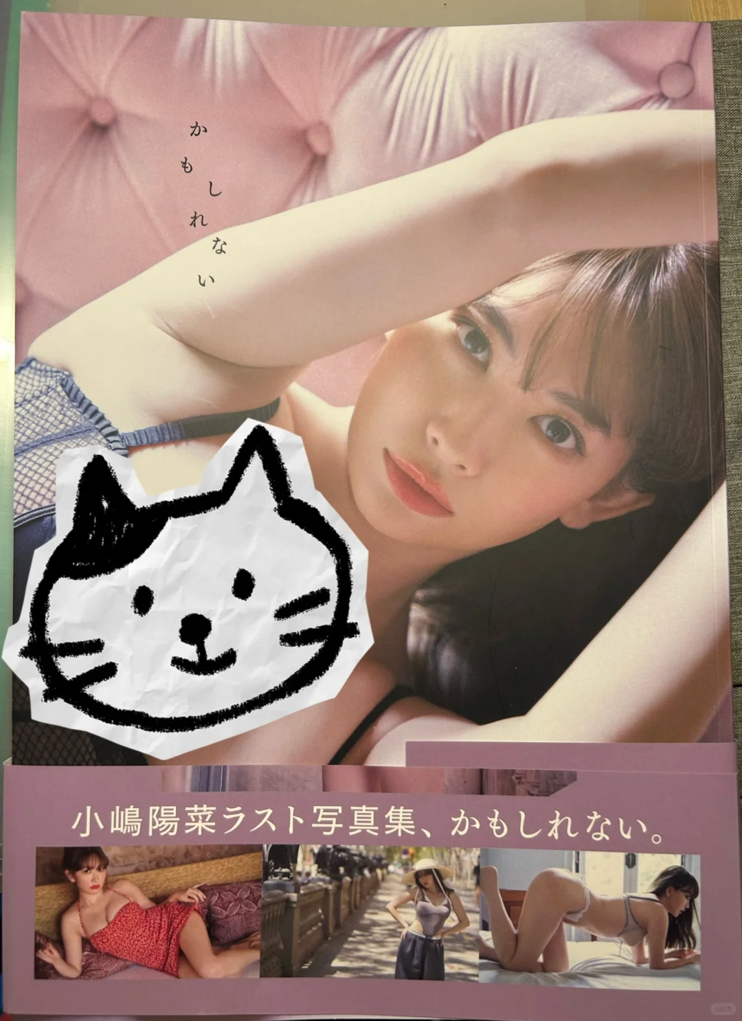 小嶋阳菜最新写真集130包邮出