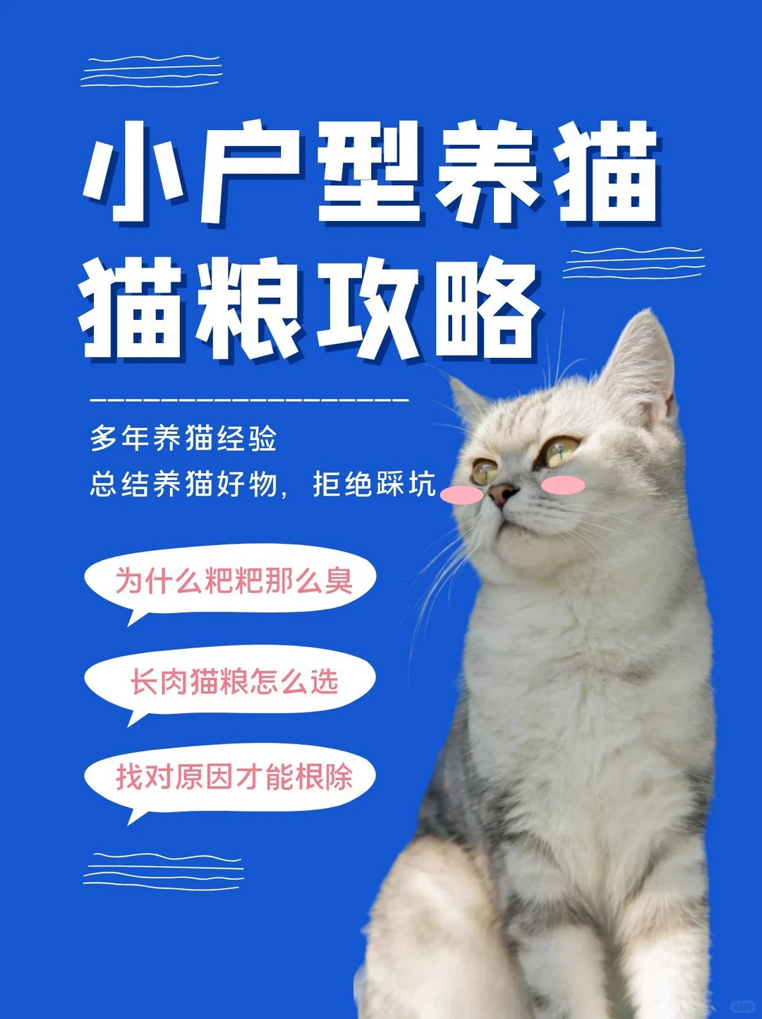 挑食喵克星！这款莱夫利猫粮