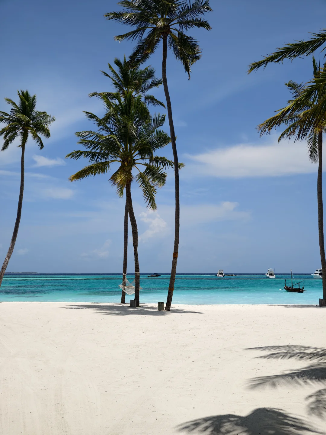 平胸｜在海岛就不会穿衣羞耻🏝️🏖️