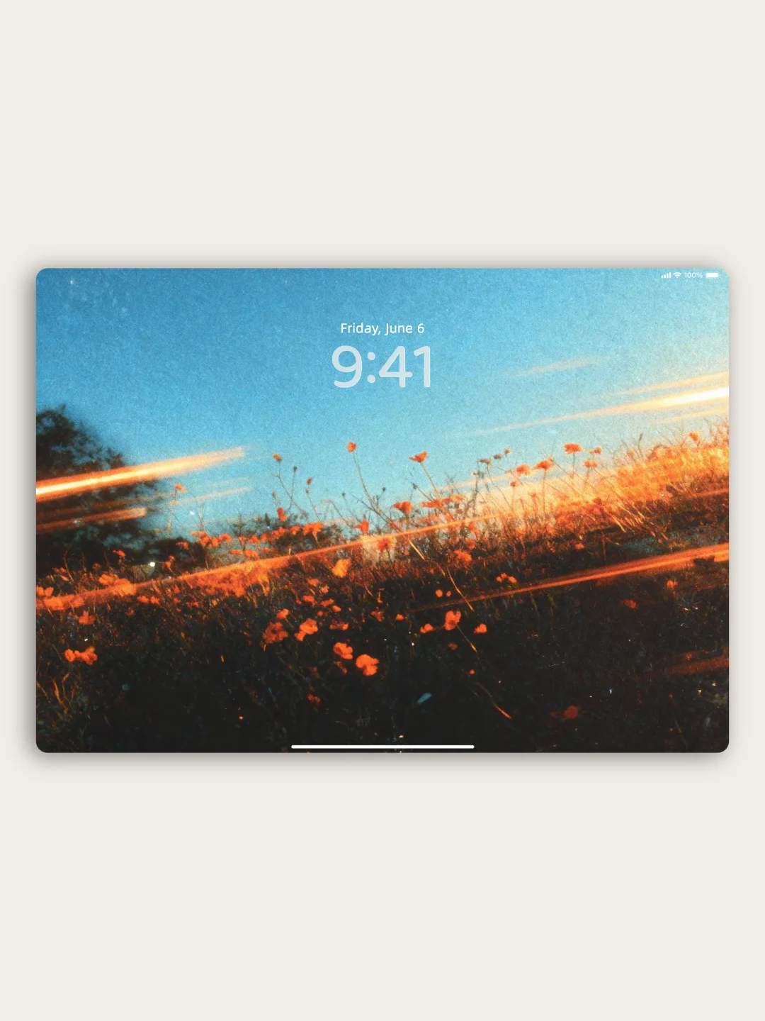 壁纸 | 在余晖的滤镜里绽放