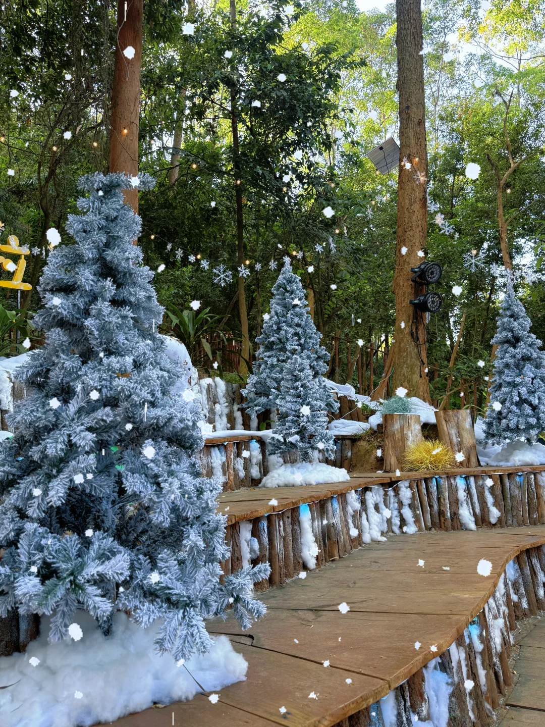 🎄圣诞氛围已拉满…