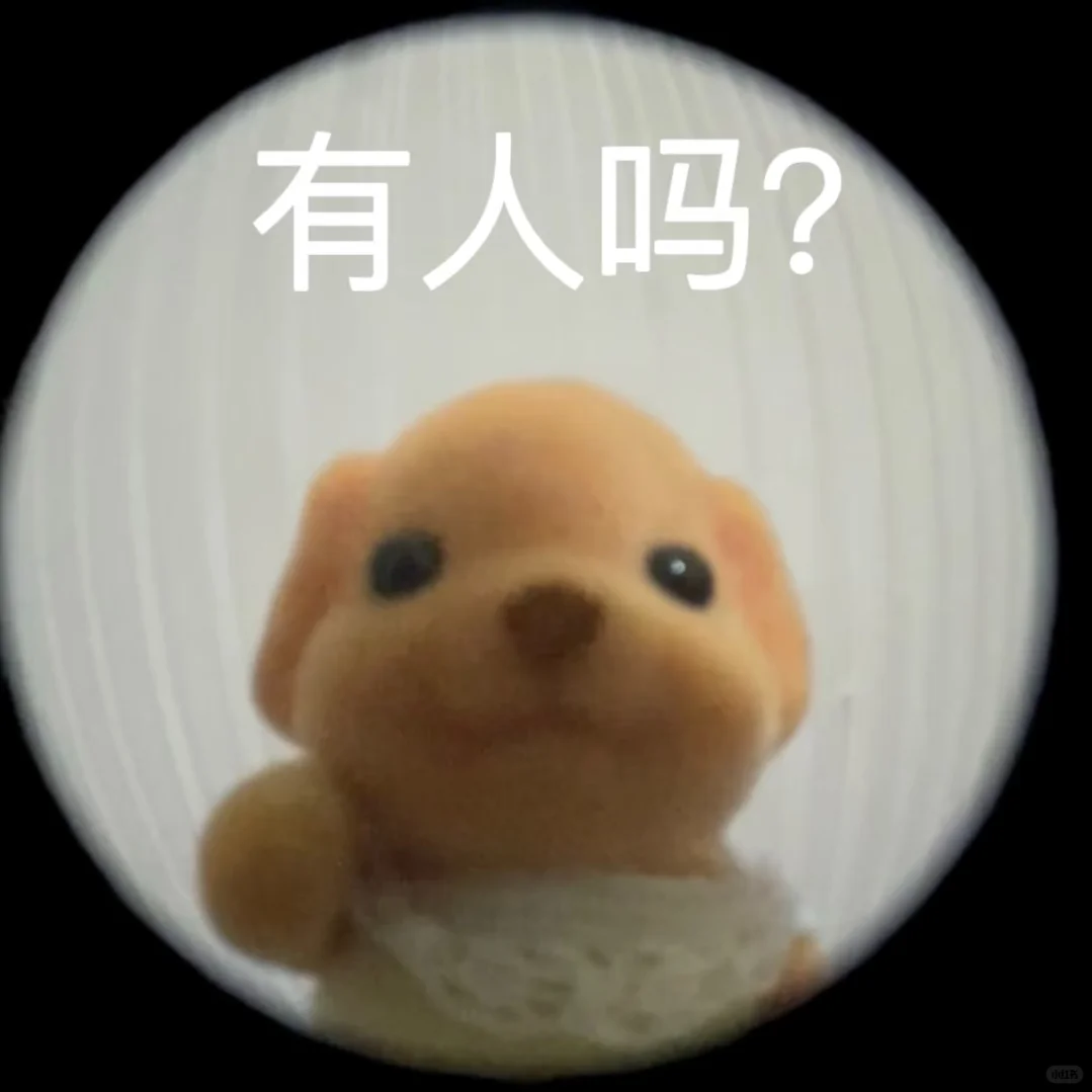 免费拍写真！ 模特招募中