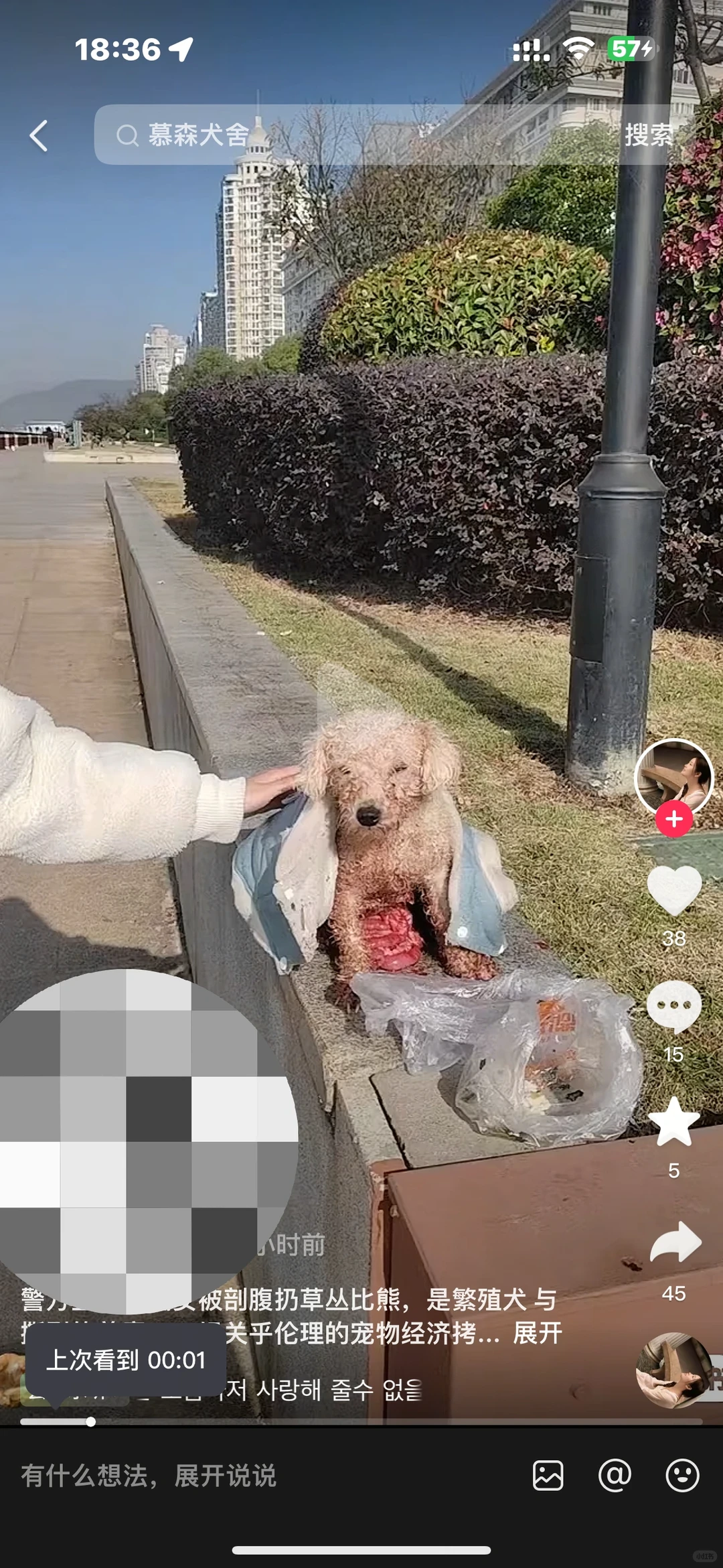 曝光瑞安某黑心犬舍‼️恶行‼️天理难容