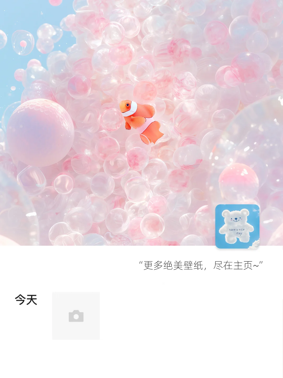 气泡小丑鱼｜高清壁纸｜232