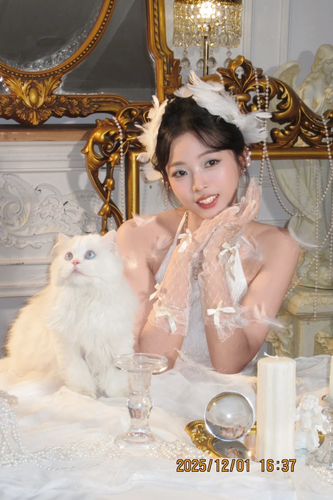 📷CCD/泛白的天使梦🦋🦋