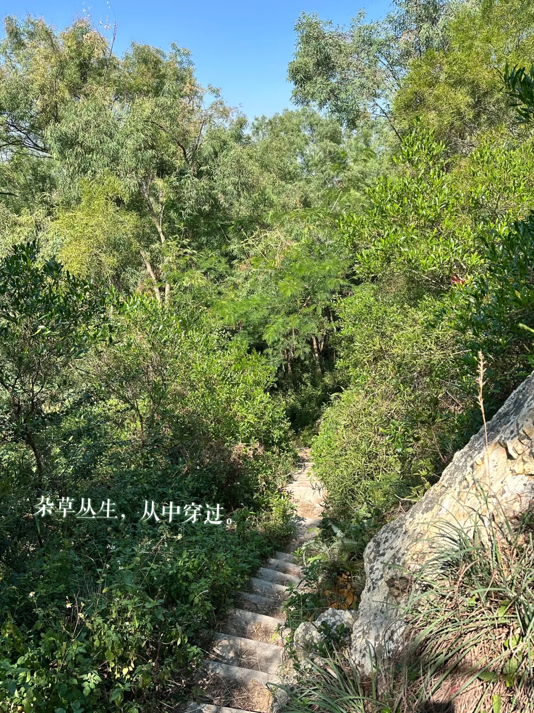 很韩系的上山又下海的海边拍照📷