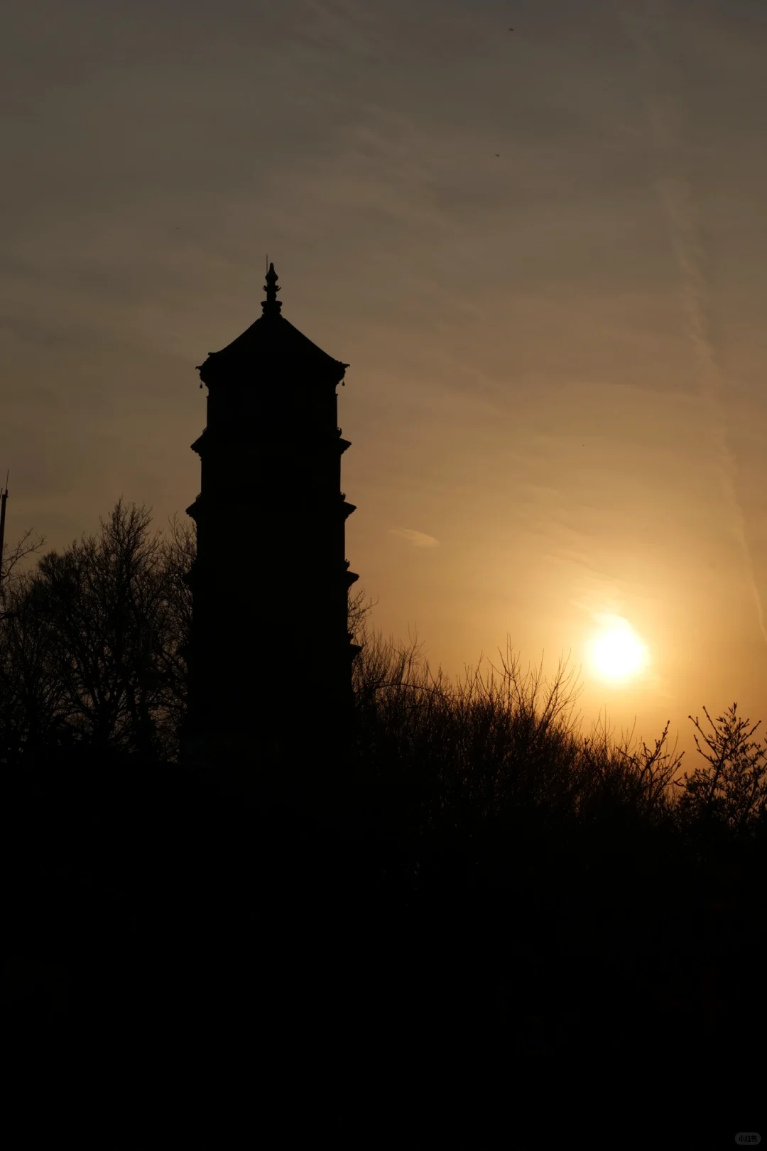 48岁|与其死磕少女感 不如活成野生的风