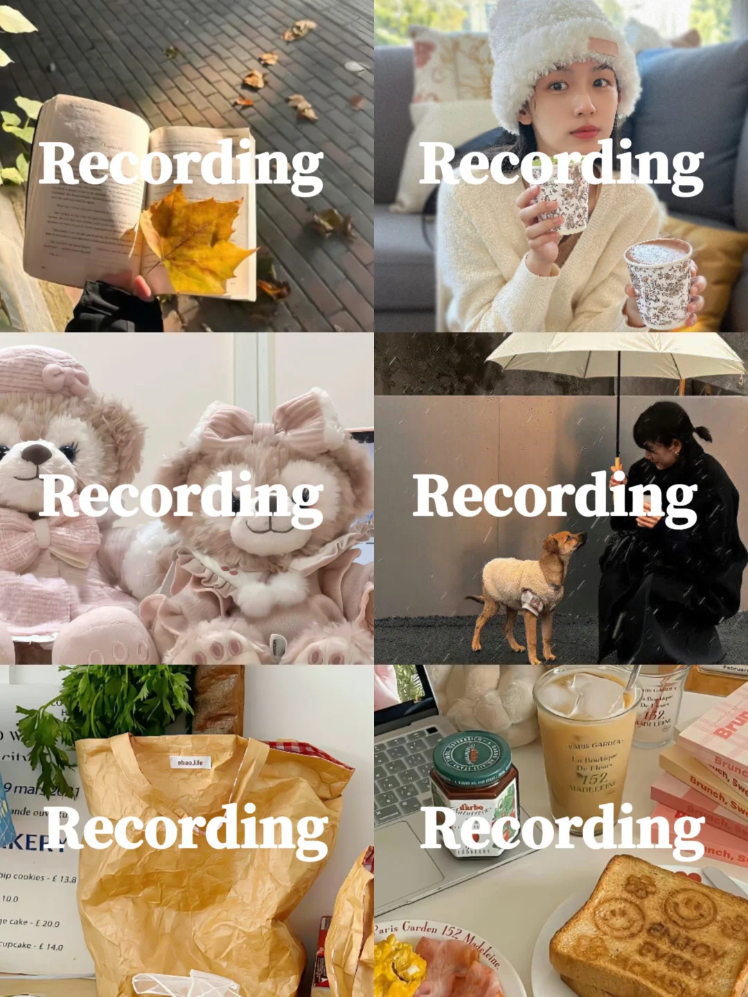 plog｜96🐭｜share一波爱用💕💻壁纸叭