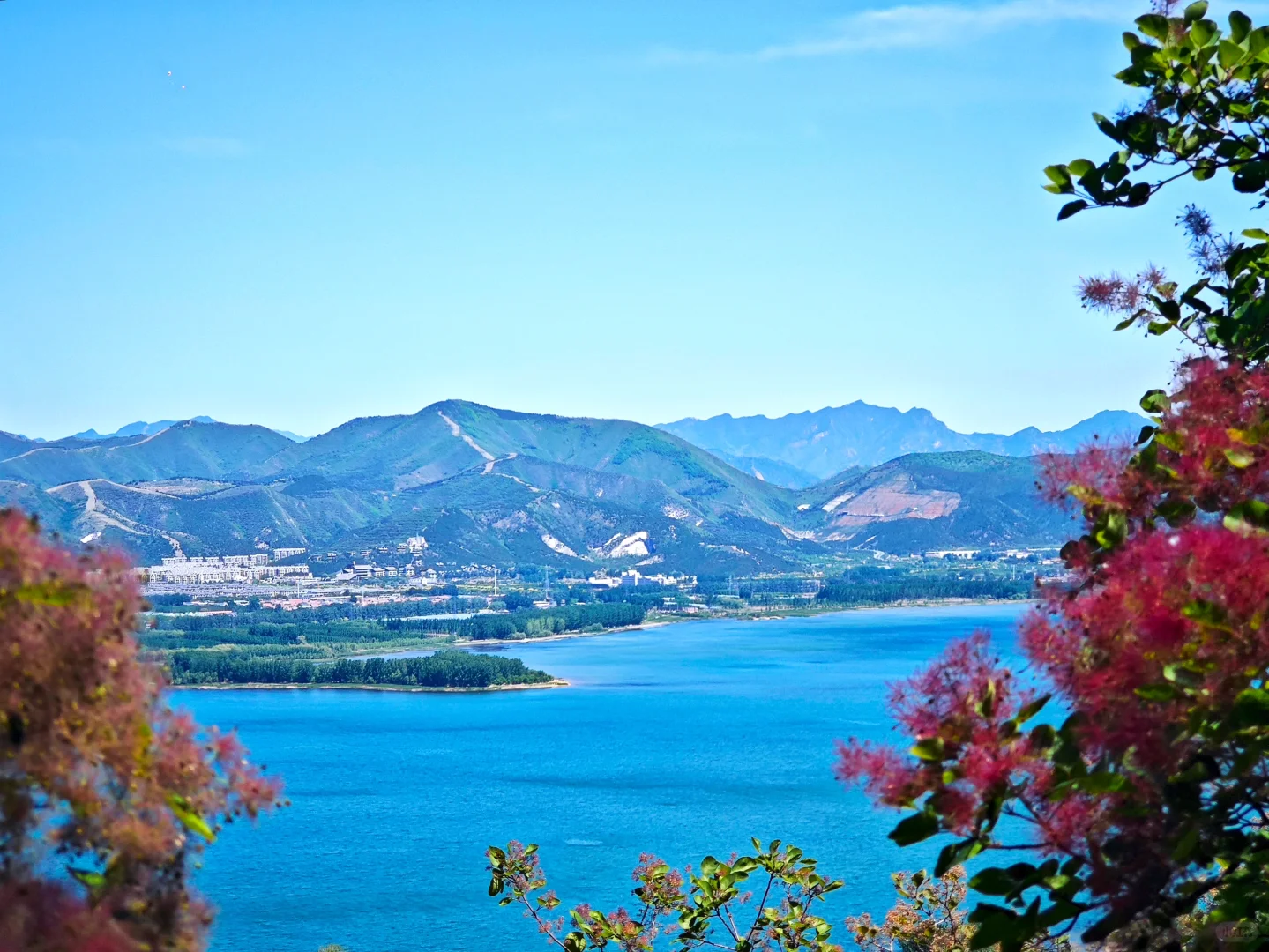 ⛰️山野漫步·自在如风 🌬️