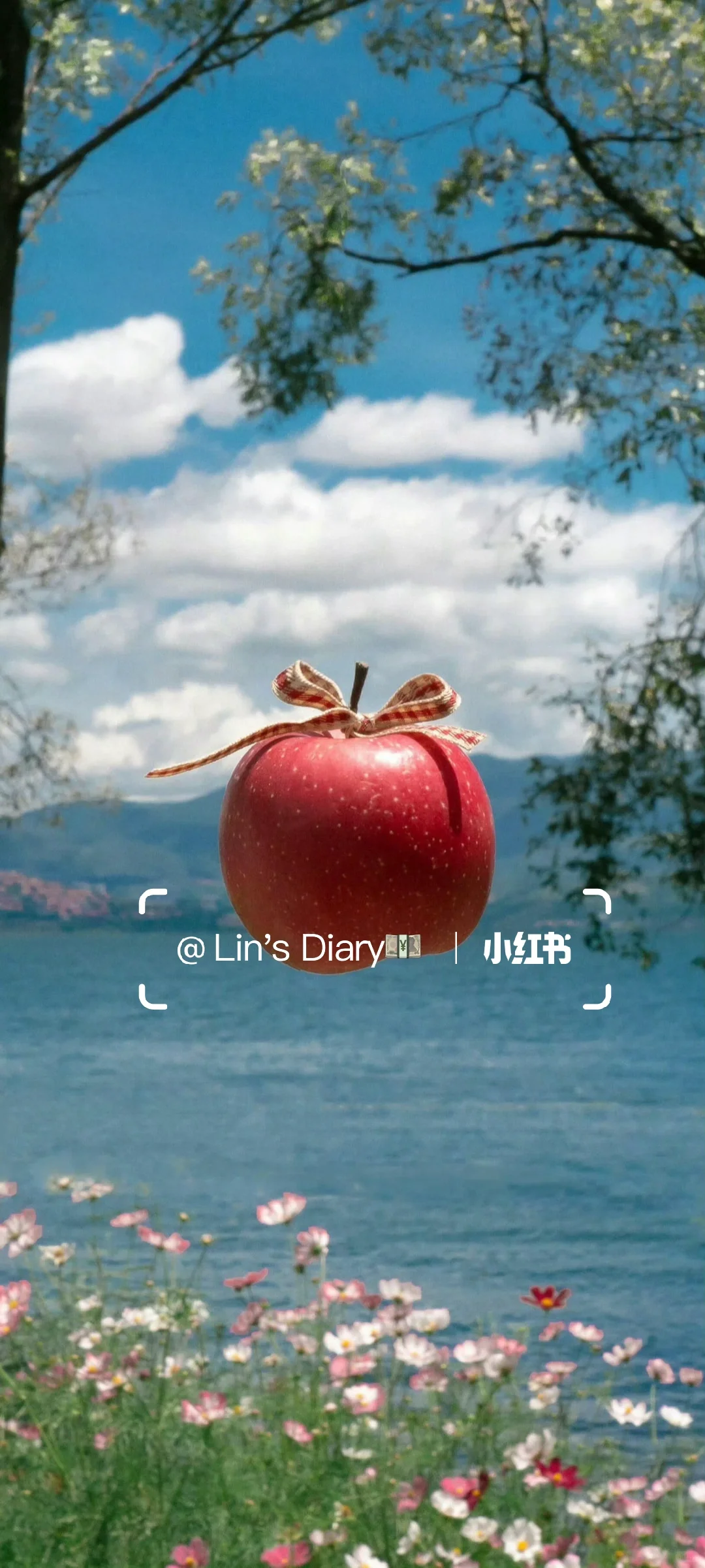 充能壁纸丨你的惊喜🍀从天而降