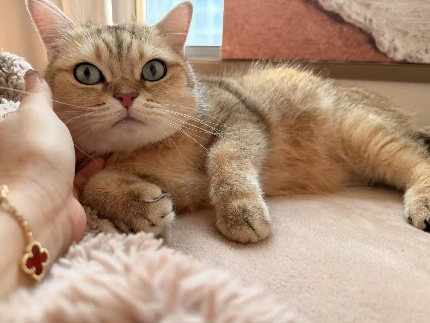 这样的女友 你几点回家