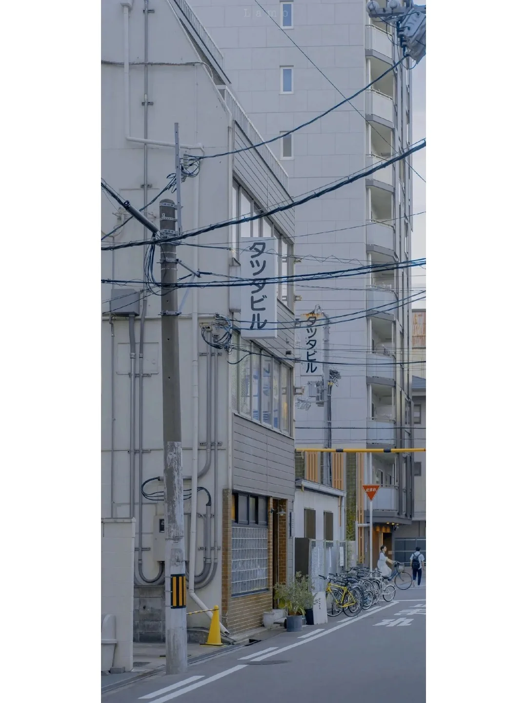 壁纸 | 今天是小清新的日系壁纸哦~