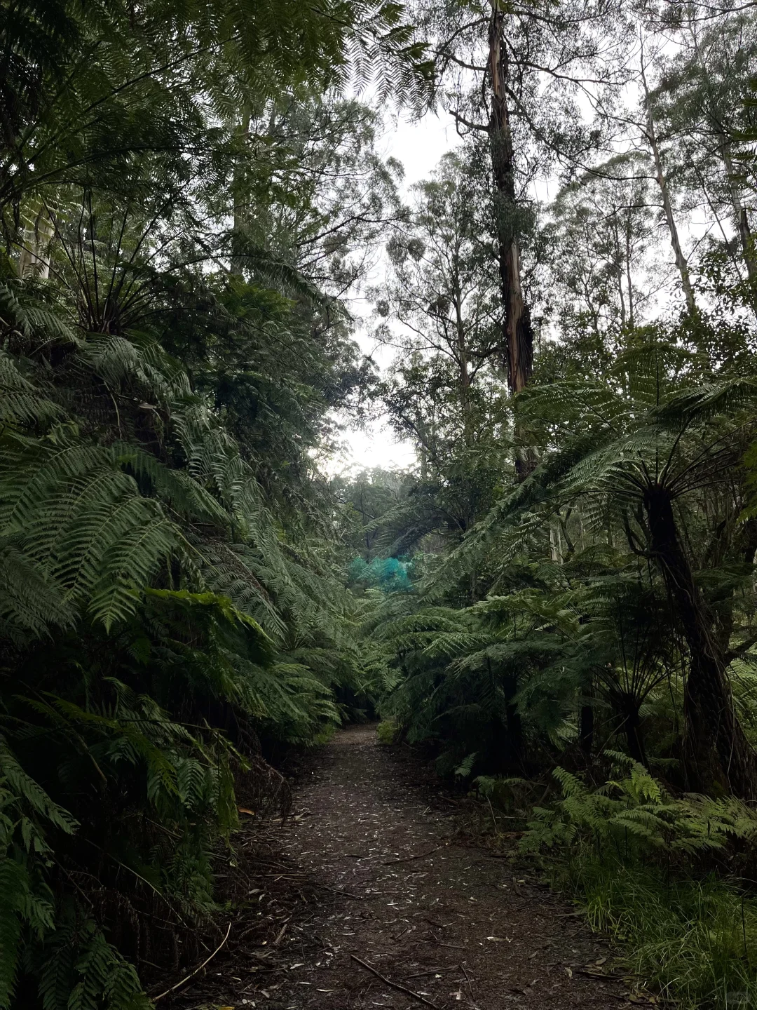 别吵了！还是穿秋裤去爬山比较舒服