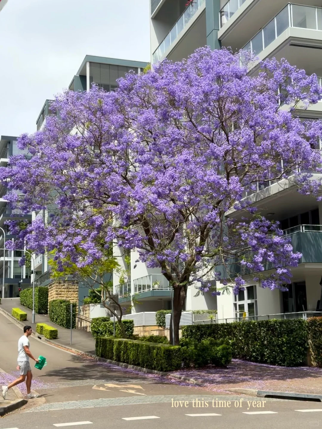 🇦🇺跑步日记
