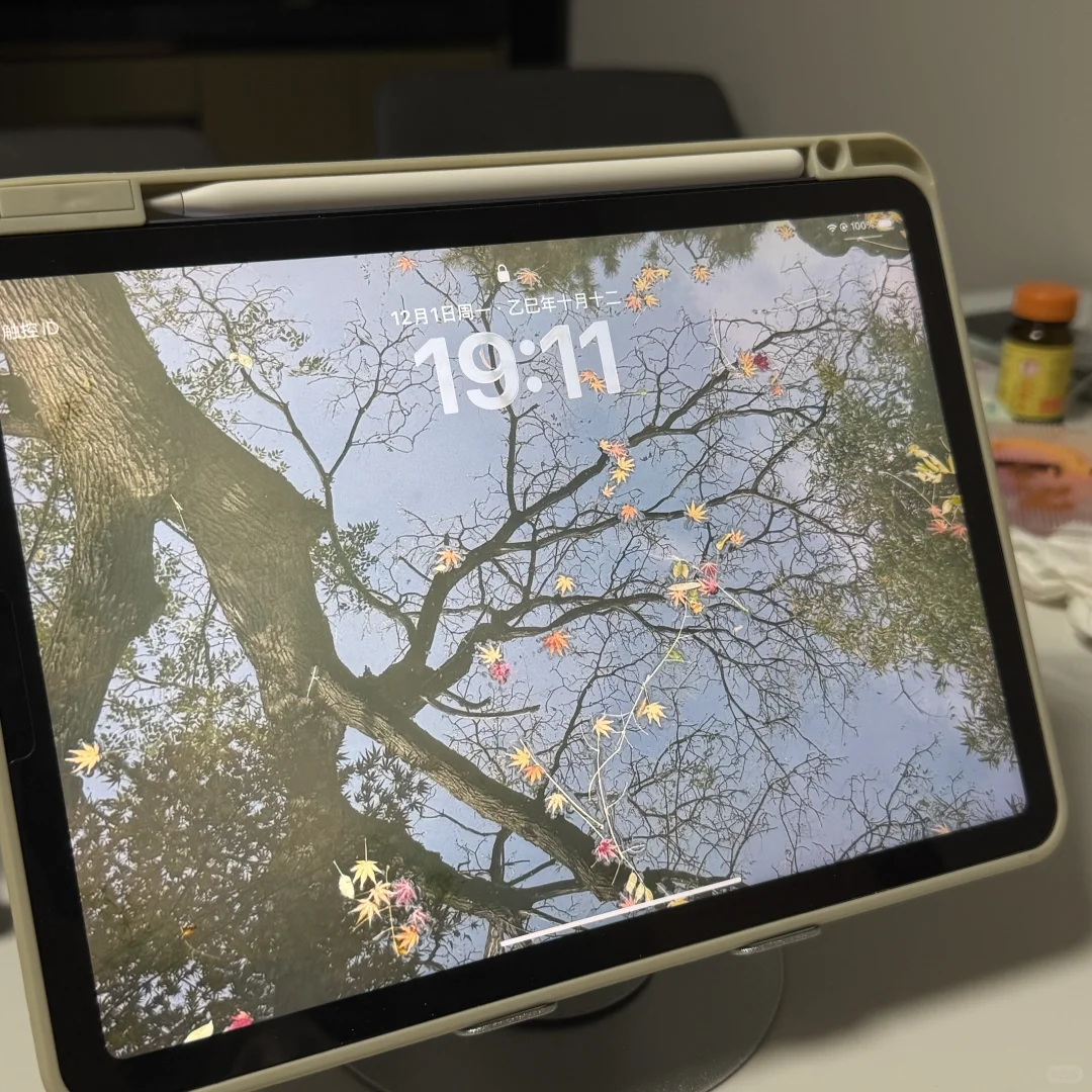 我的ipad壁纸美不美