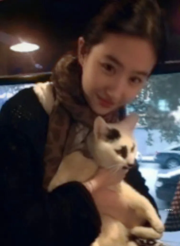 谁能拒绝点开这张图片呢