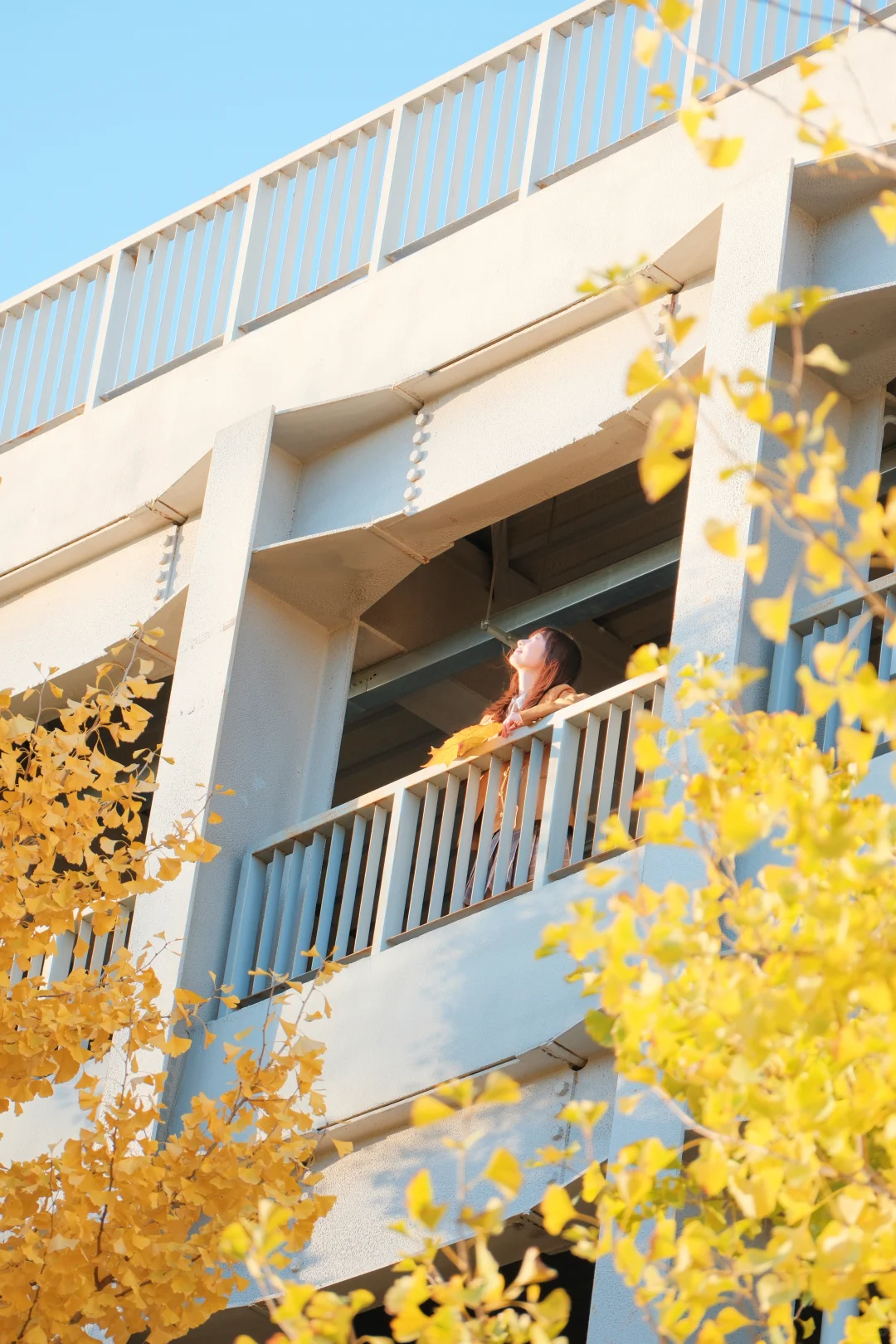 要和我一起走秋天的街吗？🍂