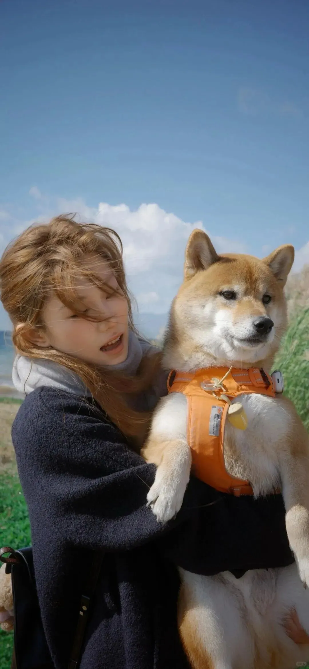 𝑾𝑬𝑪𝑯𝑨𝑻 | 减脂壁纸