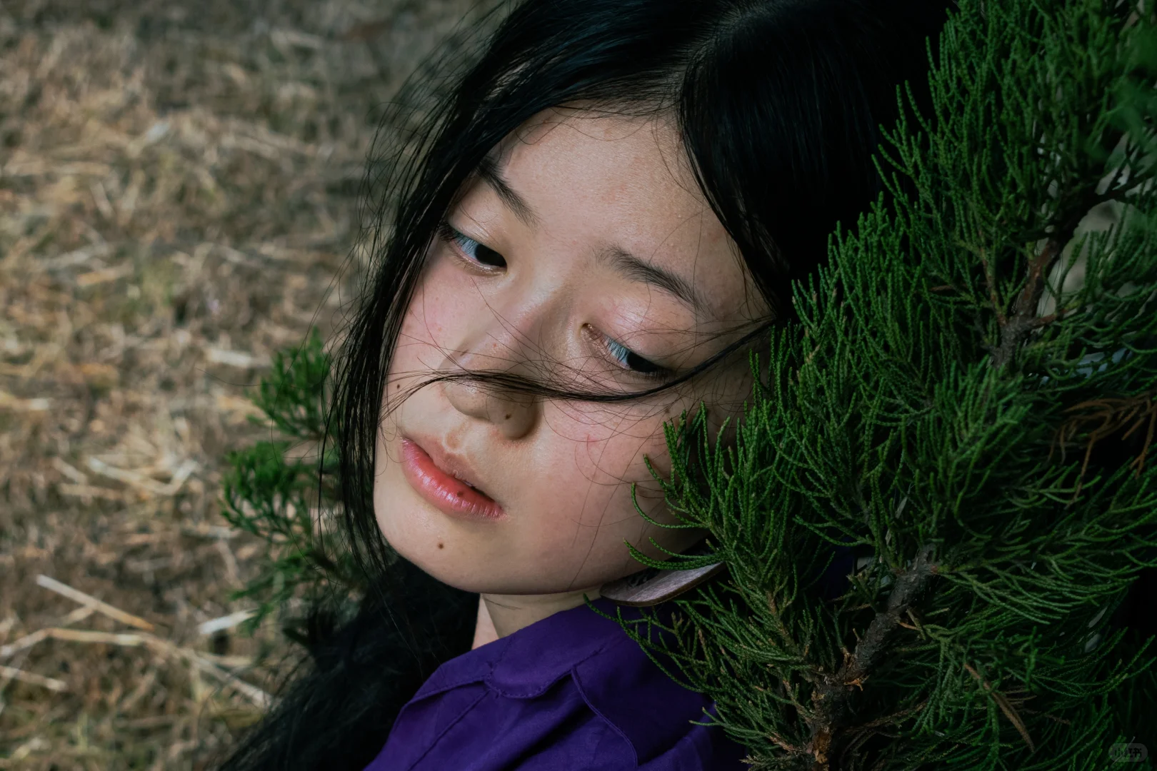 她会让人想起辽阔的森林、原野和海洋