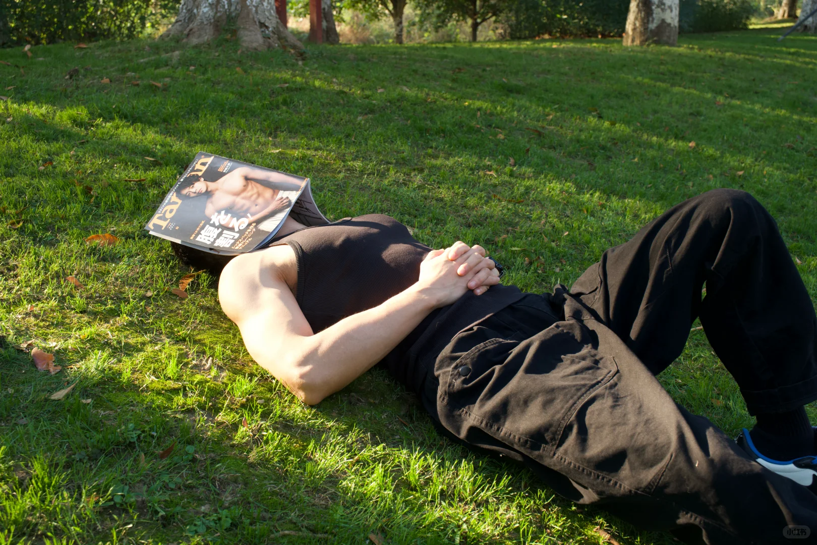 高能量自然法则，亲近大自然