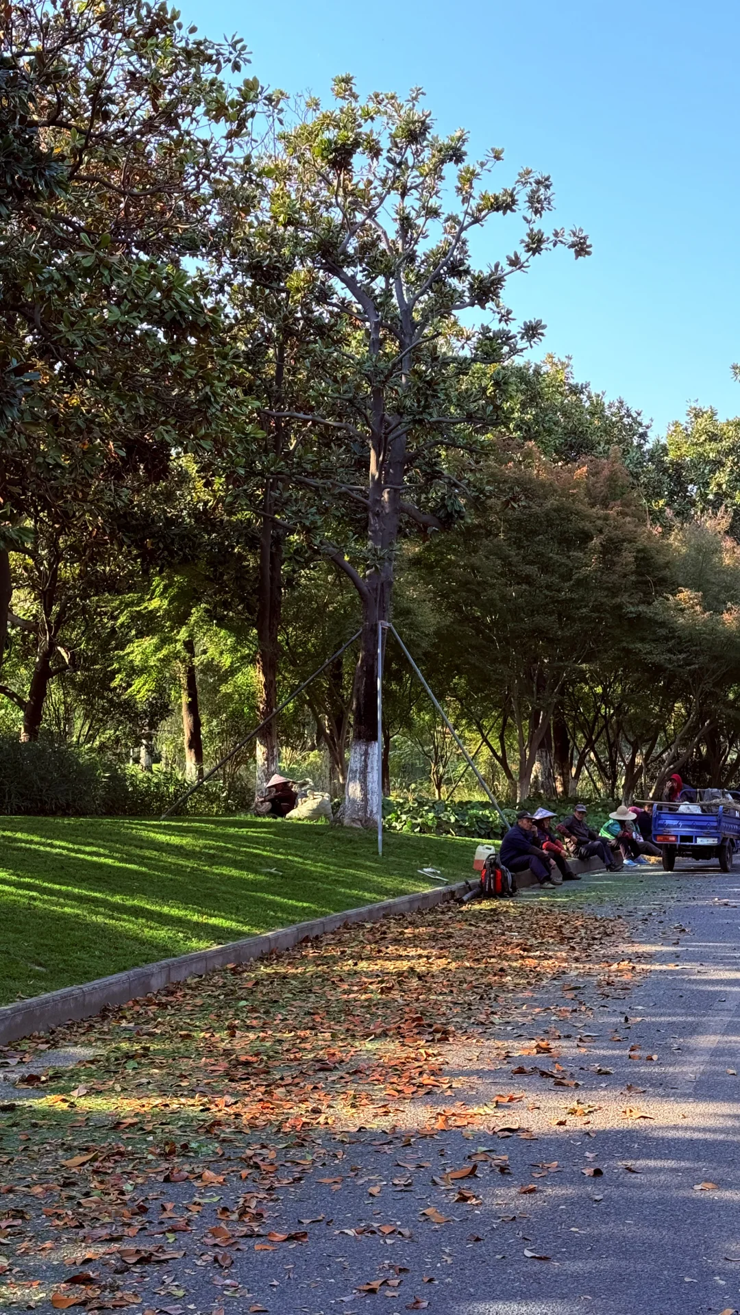 高能量自然法则，亲近大自然