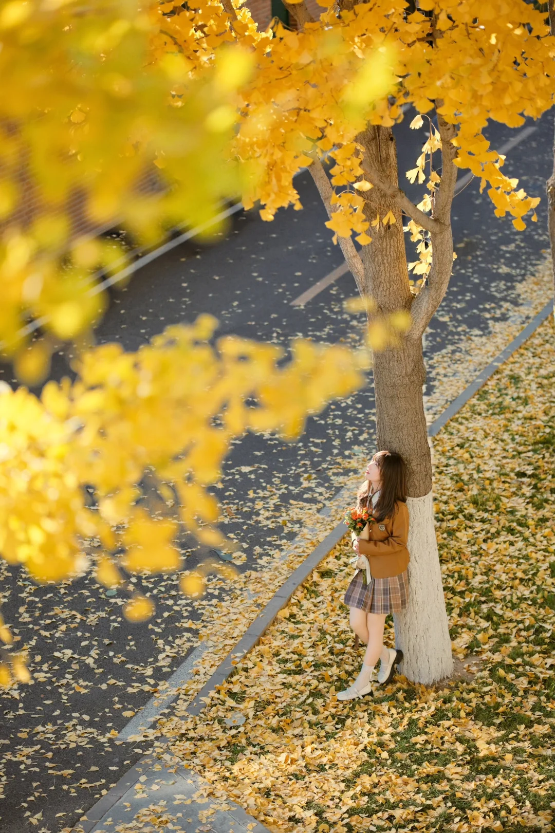 要和我一起走秋天的街吗？🍂