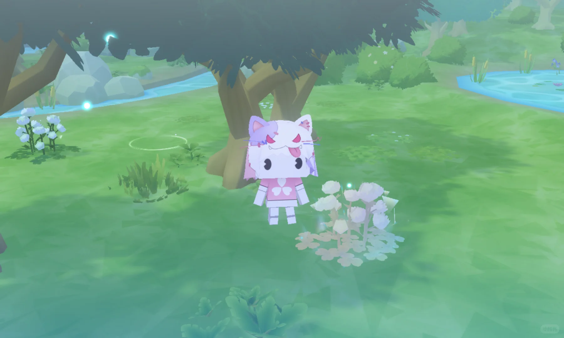 在同一天遇到了一个夕桐三个四叶草