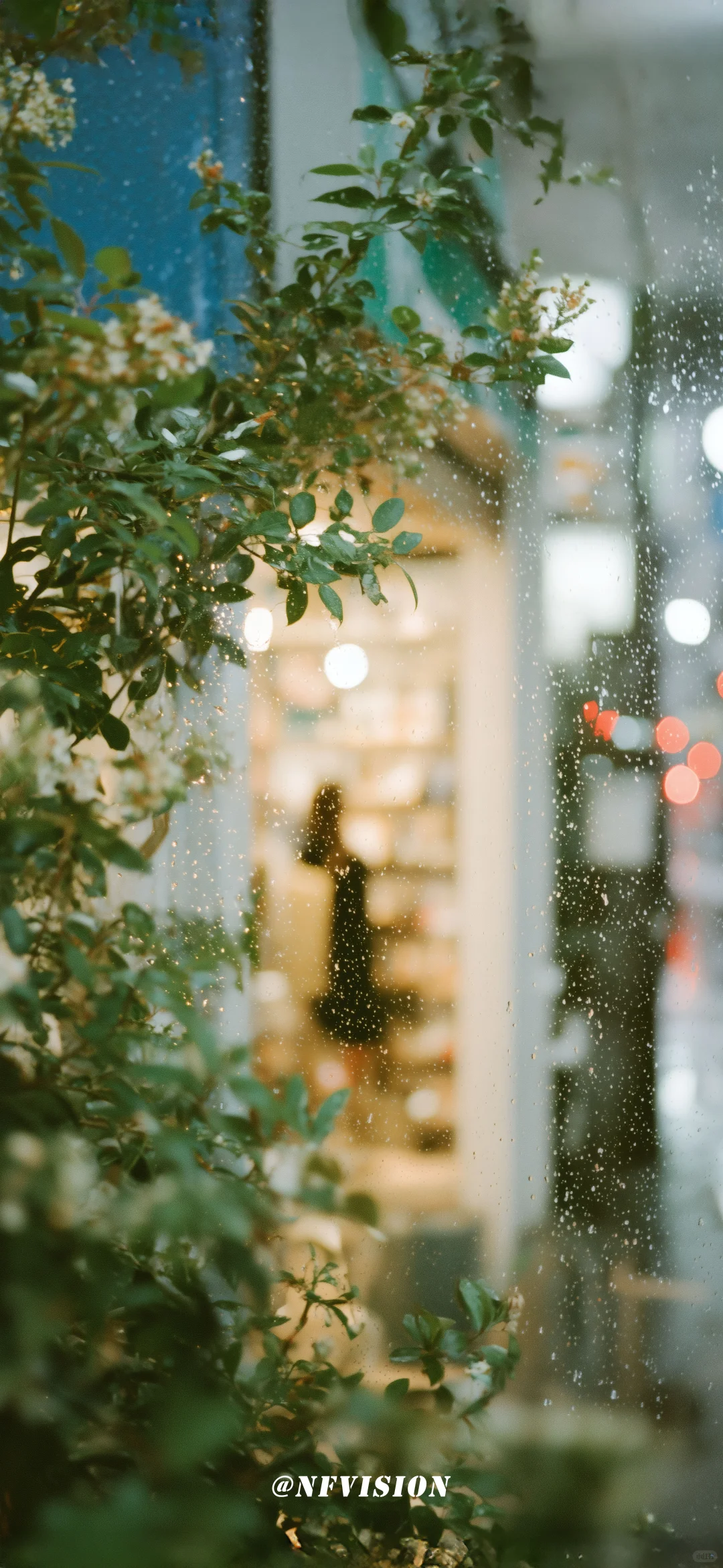 原创壁纸 | 雨日书店