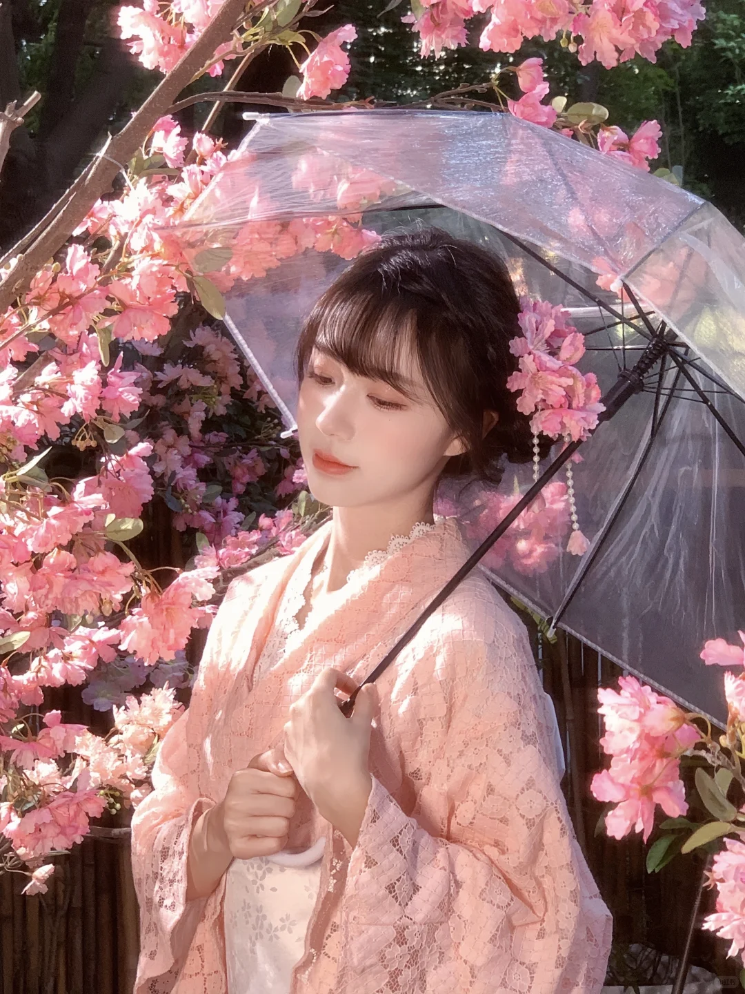 不用去大理！成都也能拍樱花🌸写真