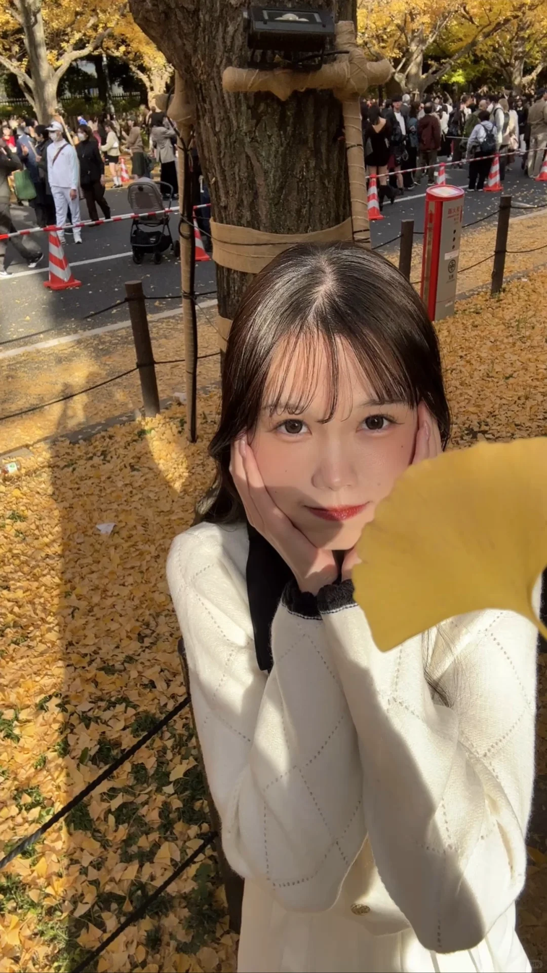 去抓住秋天的尾巴🍂