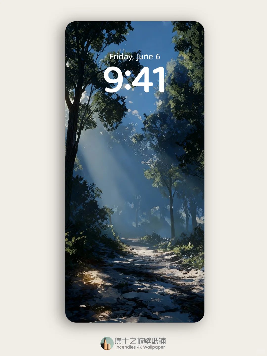 壁纸 | 阳光洒满静谧的森林